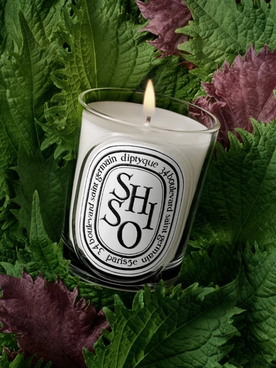 SHISO CLASSIC CANDLE CLASSIC - 6.7 OZ