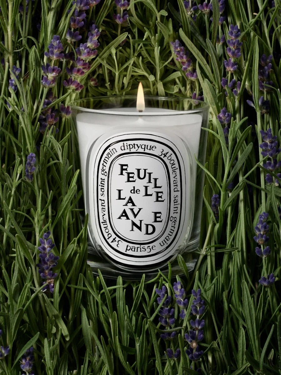 FEUILLE DE LAVANDE (LAVENDER LEAF) CLASSIC CANDLE CLASSIC - 6.7 OZ